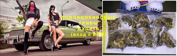 дживик Алзамай